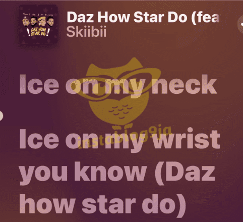 You are poor and hungry - Nigerian DJ, MS DSF shades ex-boyfriend, Skiibii 1 s 1